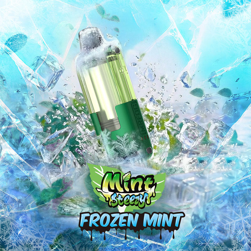 MR FOG SWITCH POD PODS Mint Steezy - Frozen Mint