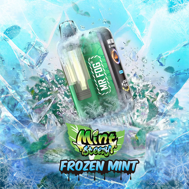 MR FOG SWITCH POD KIT -Mint Steezy Frozen Mint