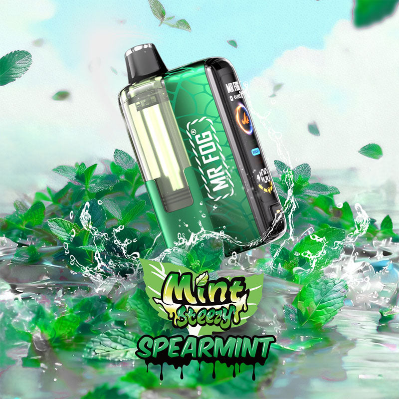 MR FOG SWITCH POD KIT -Mint Steezy Spearmint