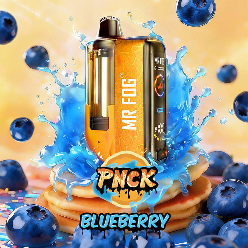 MR FOG SWITCH POD KIT - PNCK Blueberry