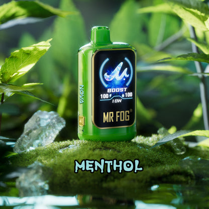 MR FOG NOVA MINT STEEZY - MENTHOL