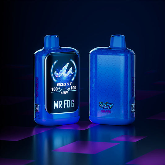 MR FOG NOVA BLUE RAZZ STEEZY - GRAPE