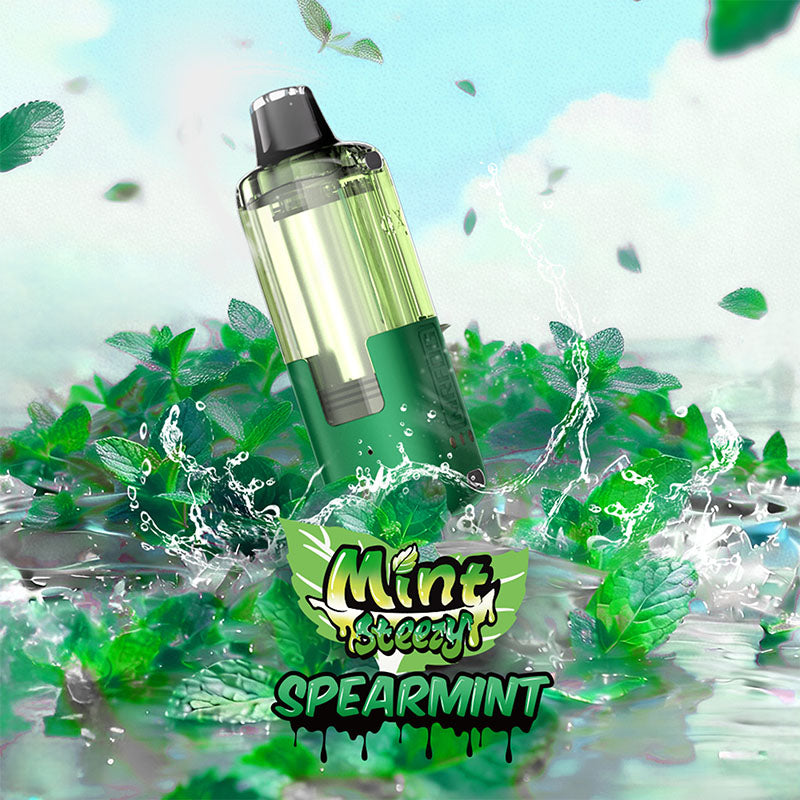 MR FOG SWITCH POD PODS Mint Steezy - Steezy Spearmint